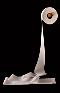 CFF_Ryan and Alice logo