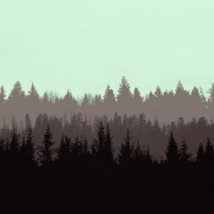 CFF_The Disappearance logo