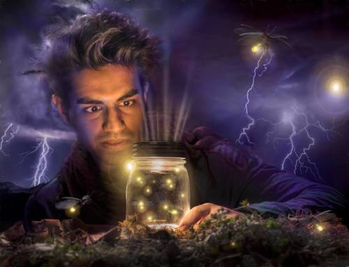 PIP_The Last Firefly