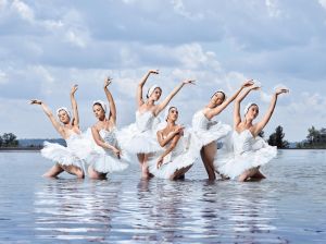 CB_Swan Lake256