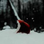 IBP_Snow Apples logo