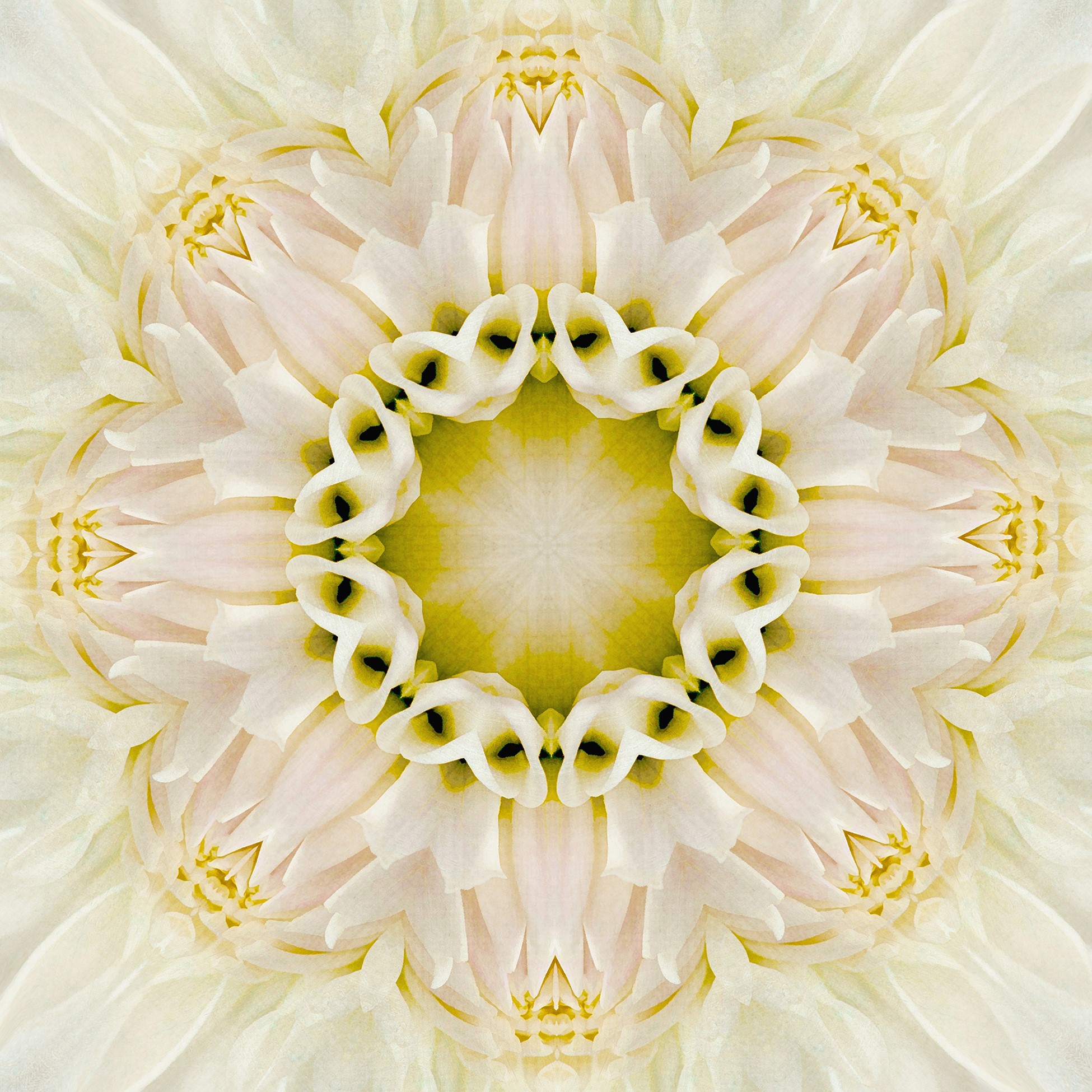 FC_Steinberg_Peggy_CenterCourt_photography_HamiltonCurrent2019