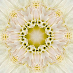 FC_Steinberg_Peggy_CenterCourt_photography_HamiltonCurrent2019