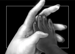 CFF_NKU Film Cover 2