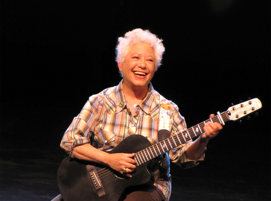 MISC_Janis Ian