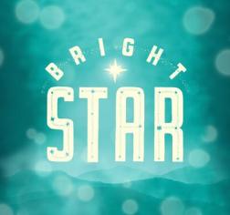 WSU_Bright Star logo