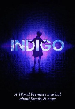 HRTC_Indigo