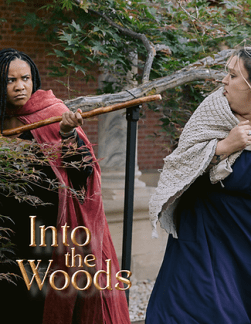TLD_Into the Woods
